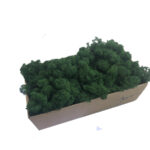 Mech Reniferowy Oczyszczony PREMIUM 500g - Mech Chrobotek - Ciemnozielony