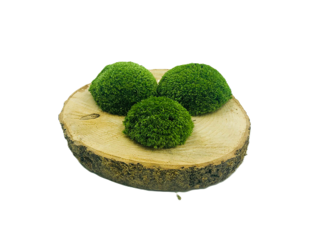 5168088932 Mech PODUSZKOWY SZWEDZKI PREMIUM Średniozielony 130g netto ~0,1m2 - obrazek 1