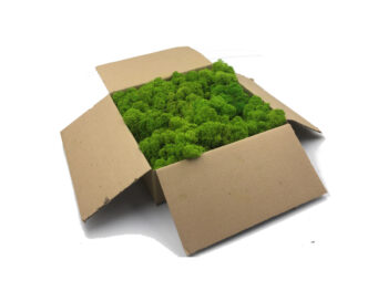 Mech Chrobotek / Reniferowy Fiński Oczyszczony PREMIUM 500g - Jasnozielony