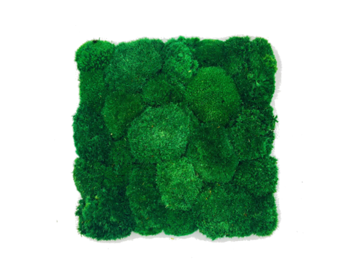 5172256340 Panel z Mchu Poduszkowego 50x50cm Ciemnozielonego - obrazek 1