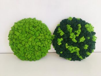 Mech Chrobotek / Reniferowy Fiński Oczyszczony PREMIUM 500g - Ciemnozielony - obrazek 4