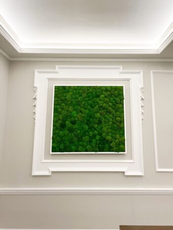 Mech PODUSZKOWY PREMIUM w Pudełku z Okienkiem 20x20x10 cm Średniozielony - obrazek 5