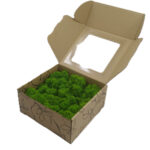 Mech Chrobotek - Mech Reniferowy Fiński w Pudełku Okienkiem 20x20x10 cm Jasnozielony