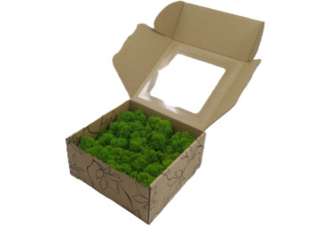 Mech Chrobotek - Mech Reniferowy Fiński w Pudełku Okienkiem 20x20x10 cm Jasnozielony