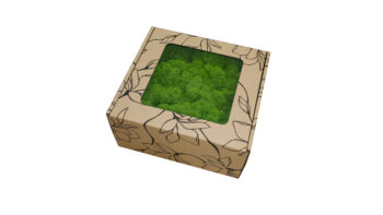Mech Chrobotek - Mech Reniferowy Fiński w Pudełku Okienkiem 20x20x10 cm Jasnozielony - obrazek 2