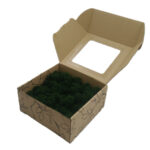 Mech Chrobotek - Mech Reniferowy Fiński w Pudełku z Okienkiem 20x20x10 cm Ciemnozielony