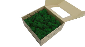 Mech Chrobotek - Mech Reniferowy Fiński w Pudełku z Okienkiem 20x20x10 cm Średniozielony - obrazek 3
