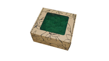 Mech Chrobotek - Mech Reniferowy Fiński w Pudełku z Okienkiem 20x20x10 cm Średniozielony - obrazek 2