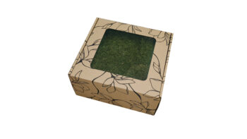 Mech Płaski Dekoracyjny PREMIUM w Pudełku z Okienkiem 20x20x10 cm – Jasnozielony - obrazek 3