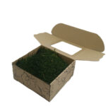 Mech Płaski Dekoracyjny PREMIUM w Pudełku z Okienkiem 20x20x10 cm – Ciemnozielony