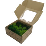 Mech Chrobotek - Mech Reniferowy Fiński w Pudełku z Okienkiem 20x20x10 cm Mix Kolorów