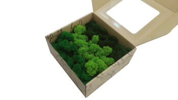 Mech Chrobotek - Mech Reniferowy Fiński w Pudełku z Okienkiem 20x20x10 cm Mix Kolorów - obrazek 2
