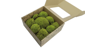 Mech PODUSZKOWY PREMIUM w Pudełku z Okienkiem 20x20x10 cm Jasnozielony - obrazek 3