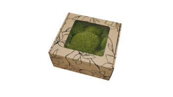 Mech PODUSZKOWY PREMIUM w Pudełku z Okienkiem 20x20x10 cm Jasnozielony - obrazek 2