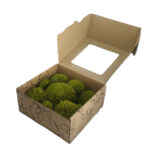 Mech PODUSZKOWY PREMIUM w Pudełku z Okienkiem 20x20x10 cm Jasnozielony