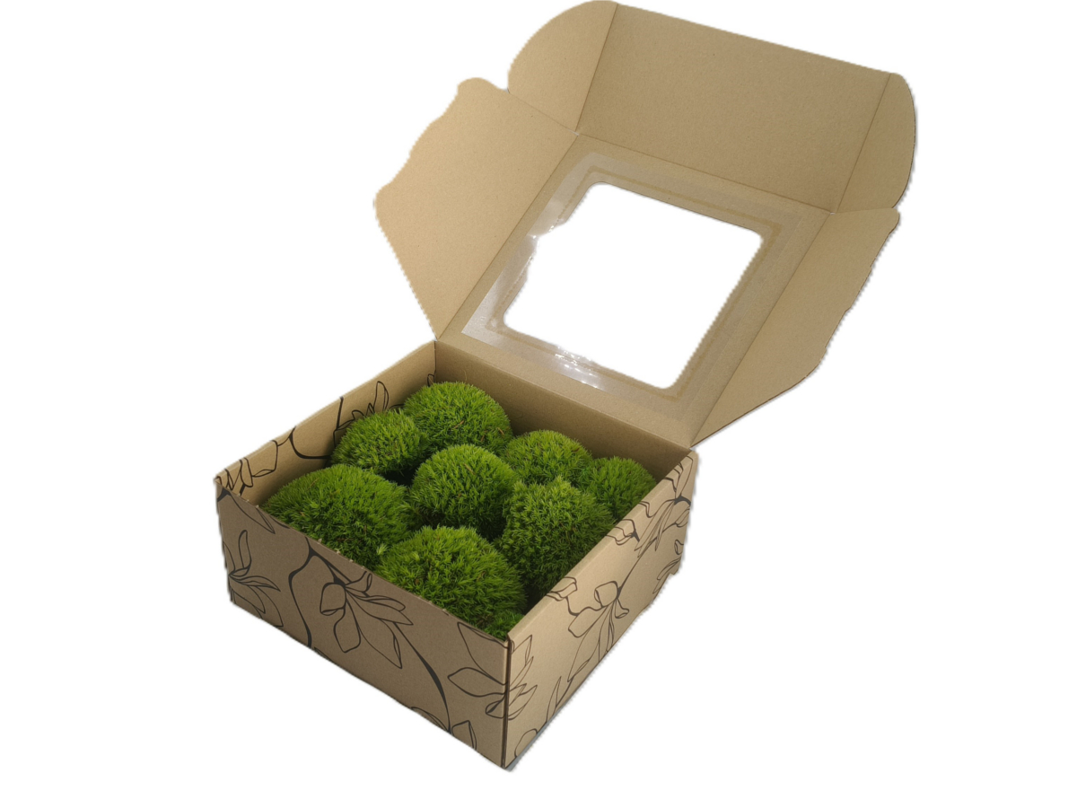 5260387710 Mech PODUSZKOWY PREMIUM w Pudełku z Okienkiem 20x20x10 cm Średniozielony - obrazek 1