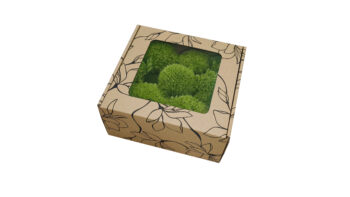 Mech PODUSZKOWY PREMIUM w Pudełku z Okienkiem 20x20x10 cm Średniozielony - obrazek 3